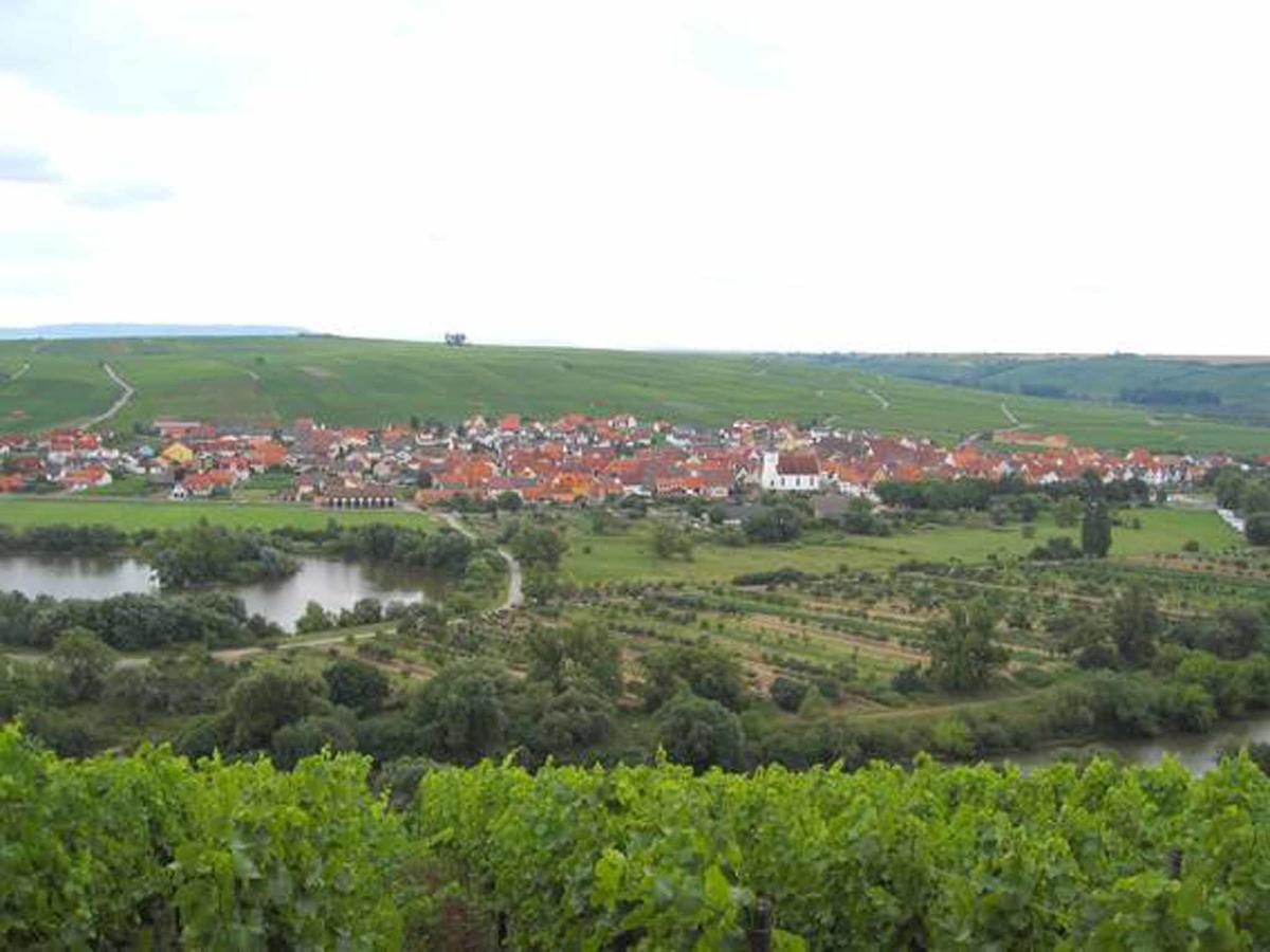 Ferien- Und Winzerhof Ute Braun Apartamento Nordheim am Main Exterior foto